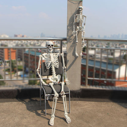 Realistic Skeleton Model