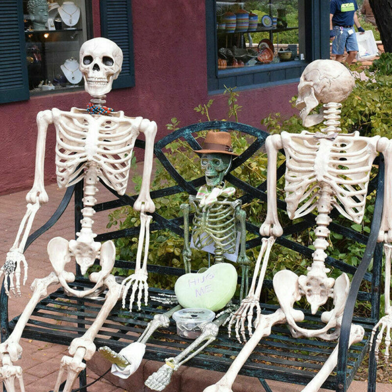 Realistic Skeleton Model