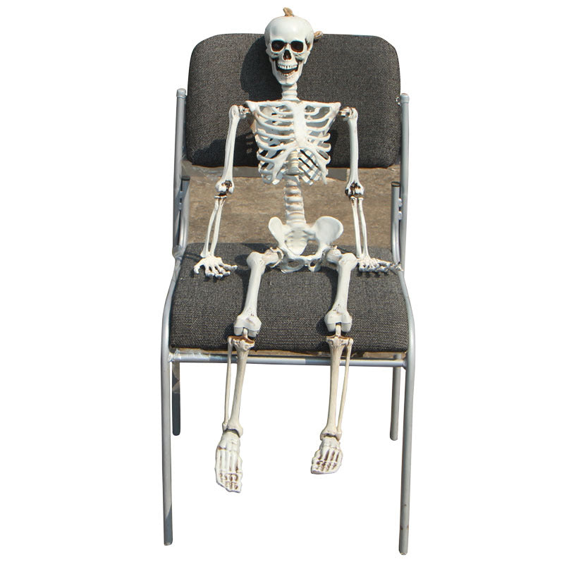 Realistic Skeleton Model